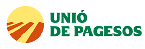 ICONO_COLAB_1