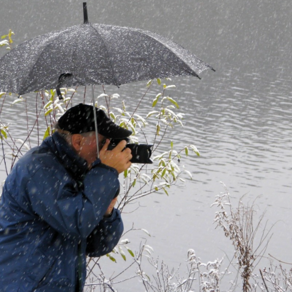 PRODUCTORAS