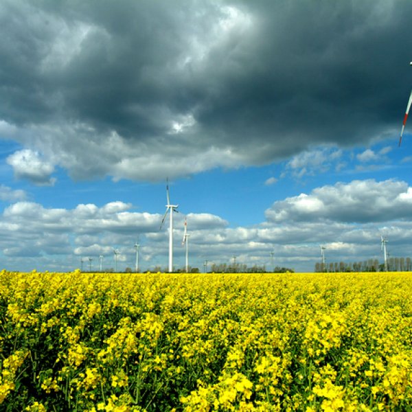 LA METEOROLOGÍA, UN FACTOR CLAVE EN EL SECTOR ENERGÉTICO