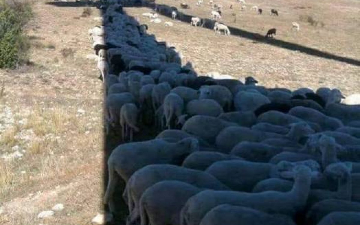 LAS OLAS DE CALOR Y SU AFECTACIÓN EN LA ECONOMÍA