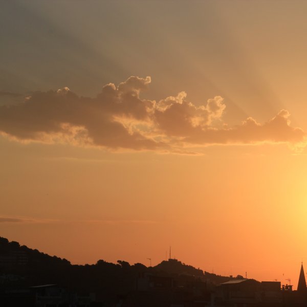 LAS OLAS DE CALOR Y SU AFECTACIÓN EN LA ECONOMÍA