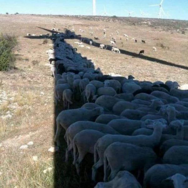 LAS OLAS DE CALOR Y SU AFECTACIÓN EN LA ECONOMÍA