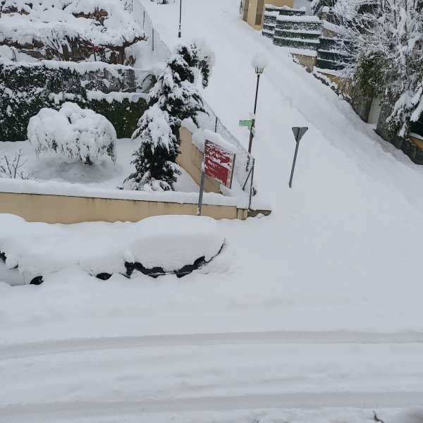 Anàlisi del temporal Filomena a Catalunya