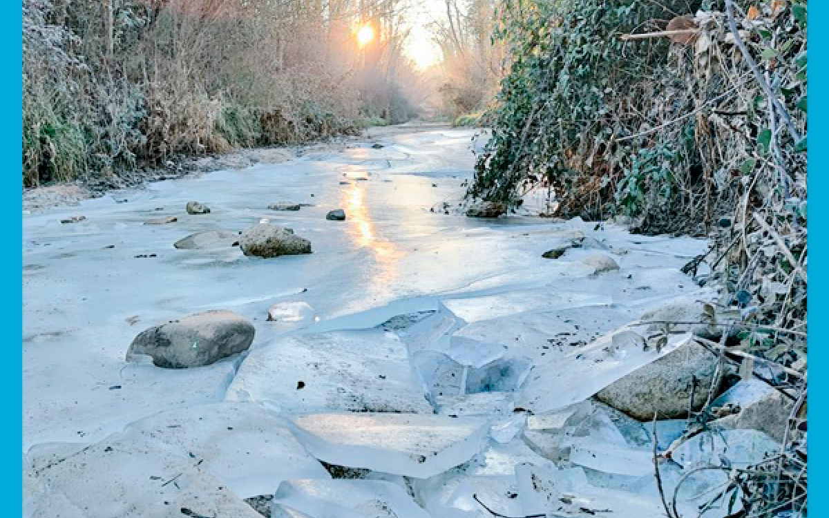 EL INVIERNO DE 2022 CONTRA LAS CUERDAS