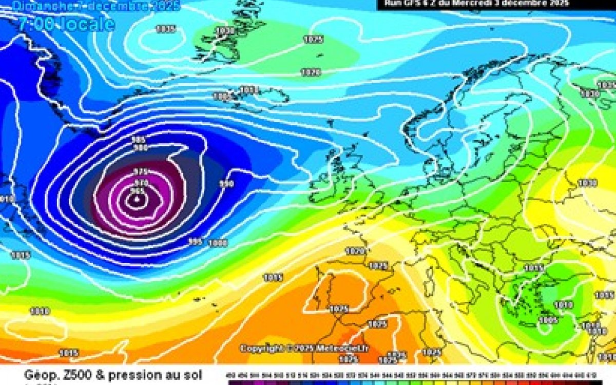 QUINES SORPRESES ENS PORTARÀ EL MES DE DESEMBRE?