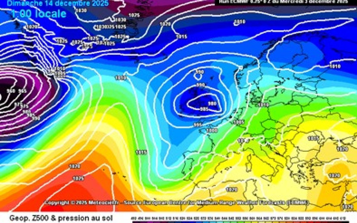 QUINES SORPRESES ENS PORTARÀ EL MES DE DESEMBRE?